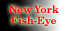 Go to NewYork Fish-Eye�u�j���[���[�N�̌����_�v