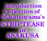 Go to ASAKUSARook-Za�@���R��O�ʐ^�W�u�󑐃��b�N�����a���N�v�Љ�