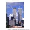 WTC0001 photo