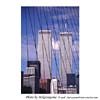 WTC0015 photo