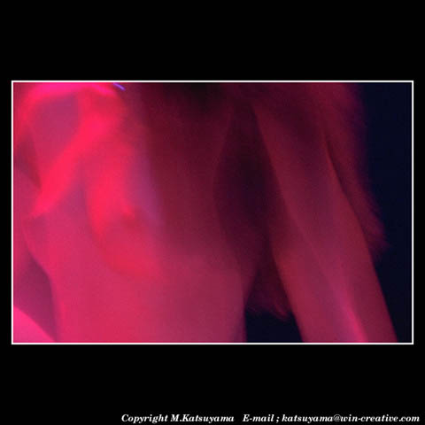 ���̉摜�̓N���b�N�o���܂���@�摜�\���G���A�̊O�ɃJ�[�\�����ړ������ēǂݍ��݂����҂�������