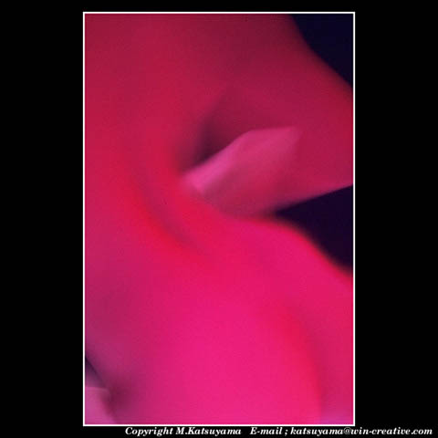 ���̉摜�̓N���b�N�o���܂���@�摜�\���G���A�̊O�ɃJ�[�\�����ړ������ēǂݍ��݂����҂�������