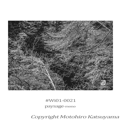 自然B&W