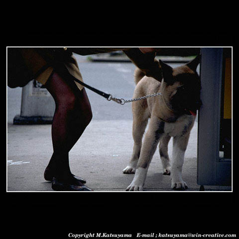 ���̉摜�̓N���b�N�o���܂���@�摜�\���G���A�̊O�ɃJ�[�\�����ړ������ēǂݍ��݂����҂�������