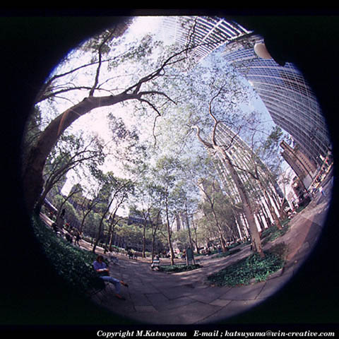 ���̉摜�̓N���b�N�o���܂���