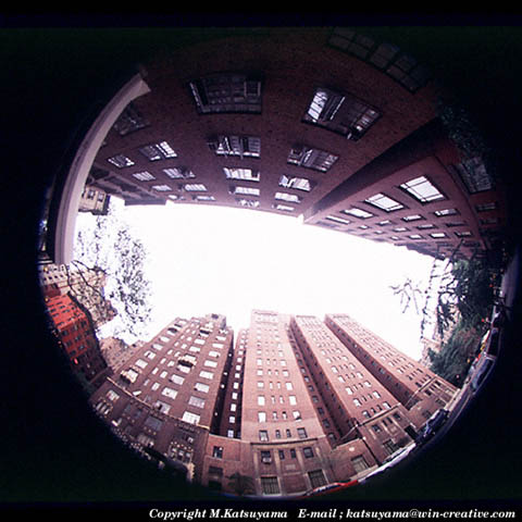 ���̉摜�̓N���b�N�o���܂���