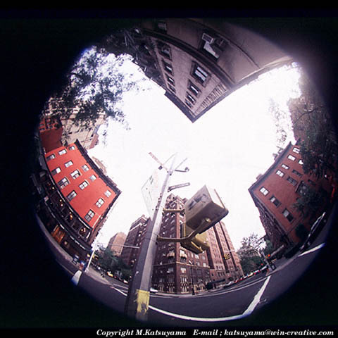 ���̉摜�̓N���b�N�o���܂���