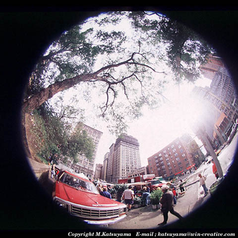 ���̉摜�̓N���b�N�o���܂���