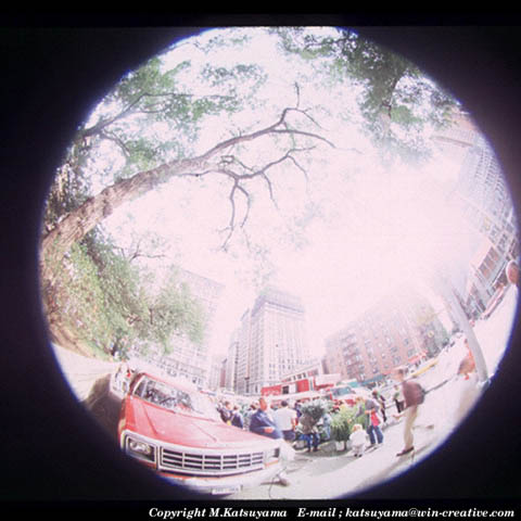 ���̉摜�̓N���b�N�o���܂���