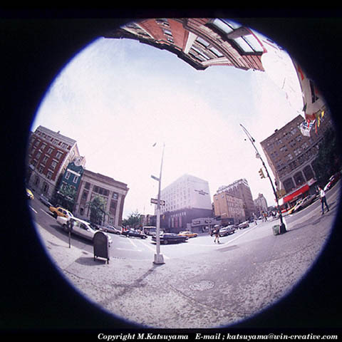 ���̉摜�̓N���b�N�o���܂���