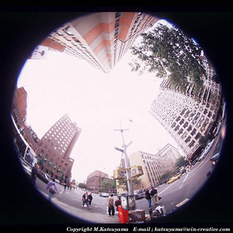 ���̉摜�̓N���b�N�o���܂���
