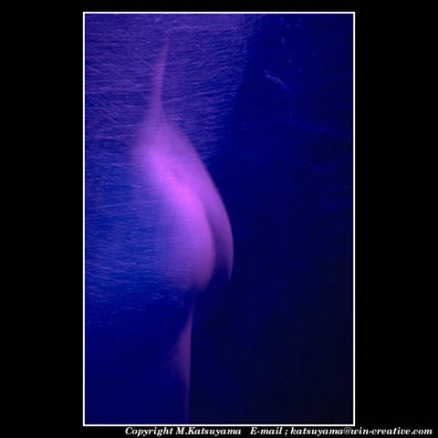 ���̉摜�̓N���b�N�o���܂���@�摜�\���G���A�̊O�ɃJ�[�\�����ړ������ēǂݍ��݂����҂�������