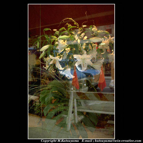 ���̉摜�̓N���b�N�o���܂���@�摜�\���G���A�̊O�ɃJ�[�\�����ړ������ēǂݍ��݂����҂�������