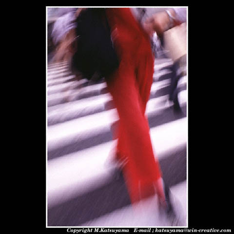 ���̉摜�̓N���b�N�o���܂���@�摜�\���G���A�̊O�ɃJ�[�\�����ړ������ēǂݍ��݂����҂�������
