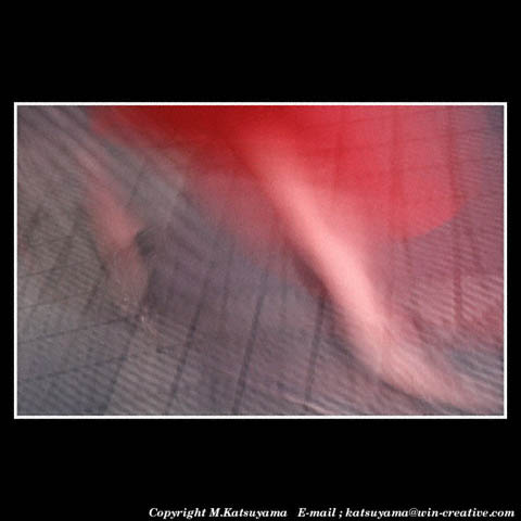 ���̉摜�̓N���b�N�o���܂���@�摜�\���G���A�̊O�ɃJ�[�\�����ړ������ēǂݍ��݂����҂�������