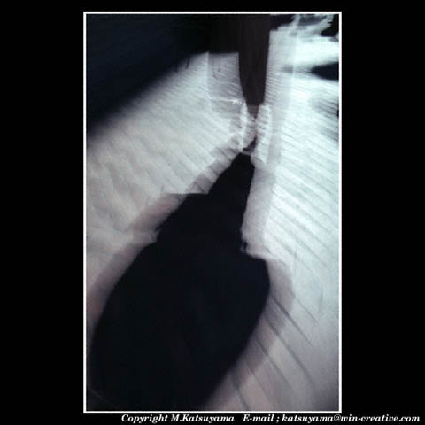 ���̉摜�̓N���b�N�o���܂���@�摜�\���G���A�̊O�ɃJ�[�\�����ړ������ēǂݍ��݂����҂�������