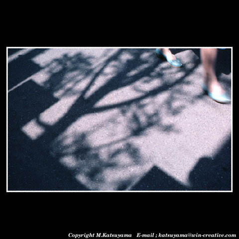 ���̉摜�̓N���b�N�o���܂���@�摜�\���G���A�̊O�ɃJ�[�\�����ړ������ēǂݍ��݂����҂�������