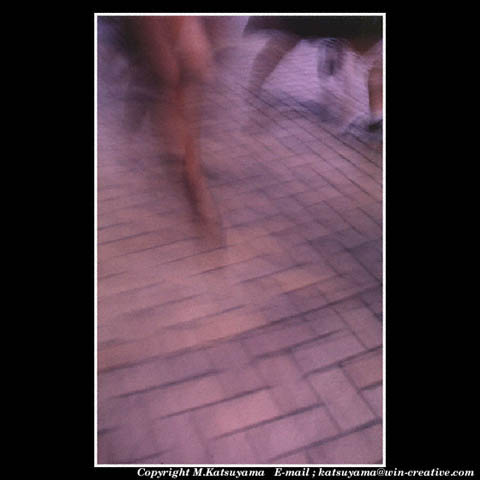 ���̉摜�̓N���b�N�o���܂���@�摜�\���G���A�̊O�ɃJ�[�\�����ړ������ēǂݍ��݂����҂�������